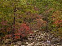 Seorak (설악산) [ 36 images ]